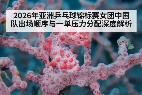 2026年亚洲乒乓球锦标赛女团中国队出场顺序与一单压力分配深度解析（kaiyun）